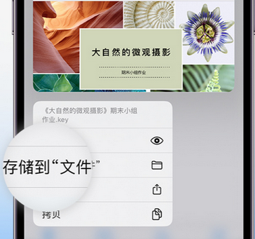 高邮apple维修中心分享iPhone文件应用中存储和找到下载文件