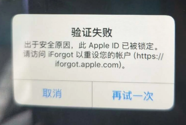 高邮iPhone维修分享iPhone上正常登录或使用AppleID怎么办 