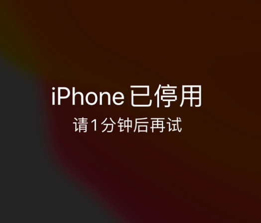 高邮苹果手机维修分享:iPhone 显示“不可用”或“已停用”怎么办？还能保留数据吗？ 