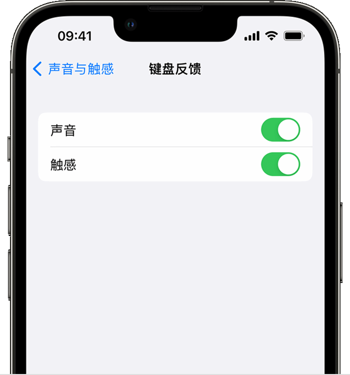 高邮苹果14维修店分享如何在 iPhone 14 机型中使用触感键盘 