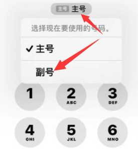 高邮苹果14维修店分享iPhone 14 Pro Max使用副卡打电话的方法 