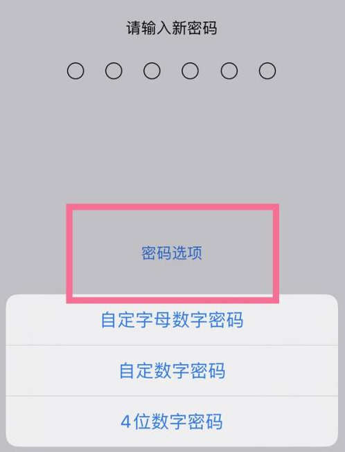 高邮苹果14维修分享iPhone 14plus设置密码的方法 