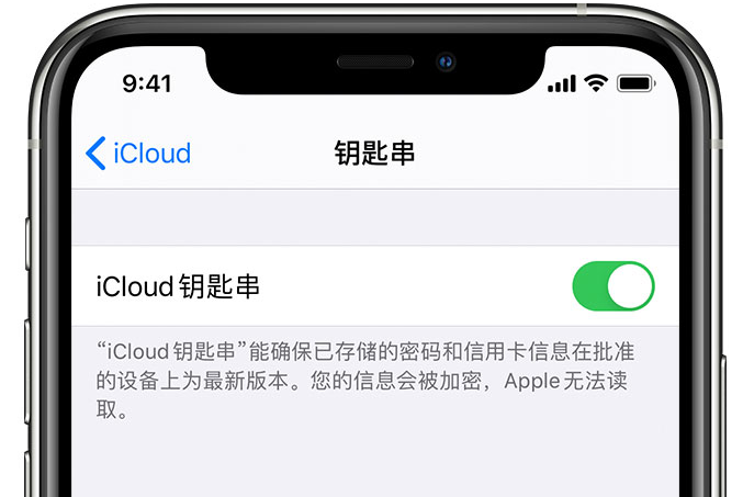 高邮苹果手机维修分享在 iPhone 上开启 iCloud 钥匙串之后会储存哪些信息 