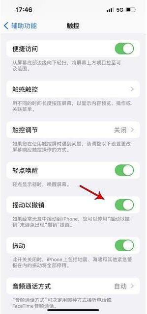 高邮苹果手机维修分享iPhone手机如何设置摇一摇删除文字 